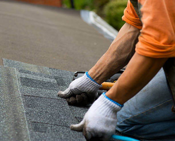 Best Roof Replacement Cost  in Albertville, MN
