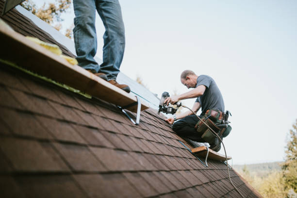 Quick and Trustworthy Emergency Roof Repair Services in Albertville, MN